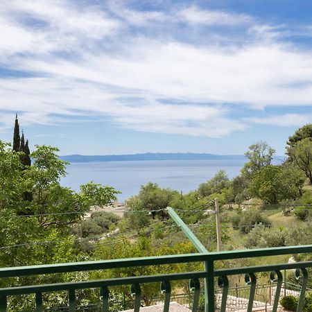 Apartment Laura On The First Floor Μακάρσκα Εξωτερικό φωτογραφία